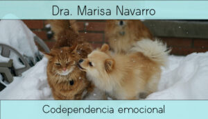 Codependencia emocional